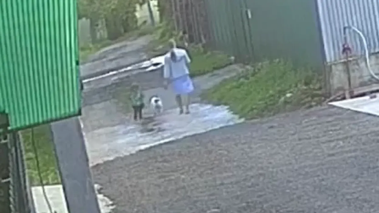 Фото: Истра | Искра! / ВКонтакте