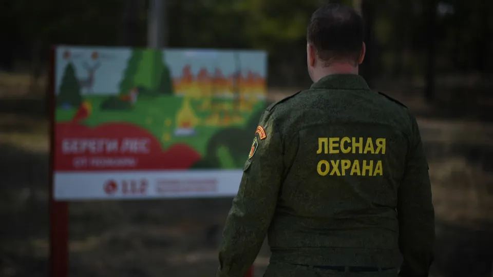 Фото: МедиаБанк Подмосковья/Ольга Антонова