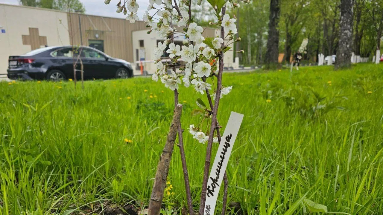 Фото: ГБУЗ МО «Видновский перинатальный центр»