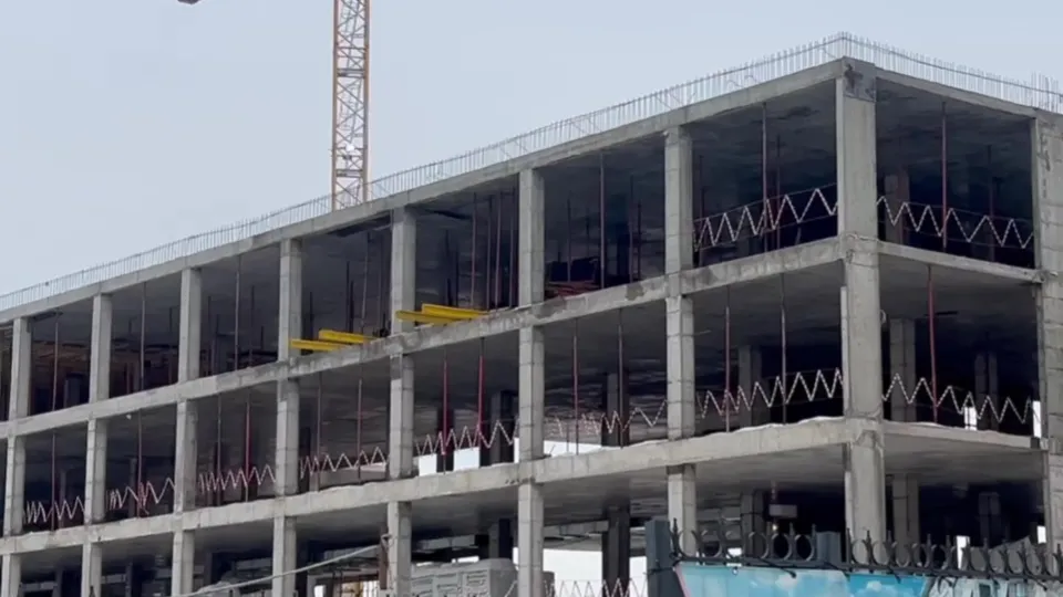 Фото: МедиаБанк Подмосковья/Ксения Казакова