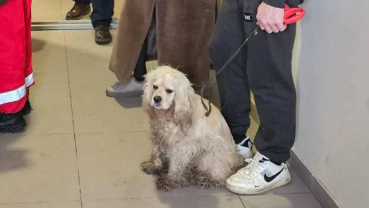 Официальный интернет-портал администрации городского округа Люберцы