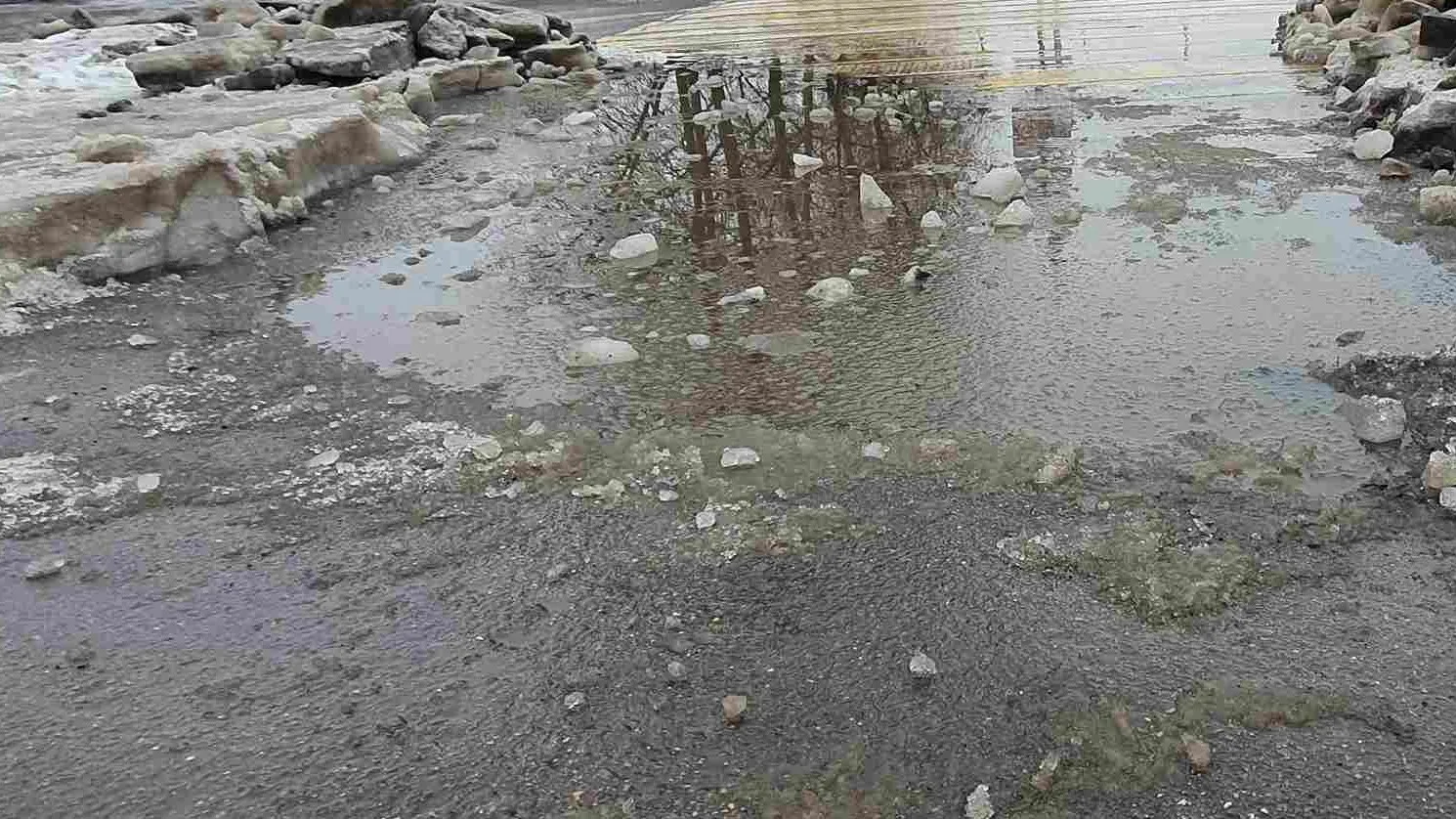 Фото: Наталия Надточая