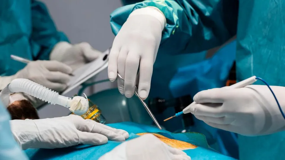 Фото: freepik.com