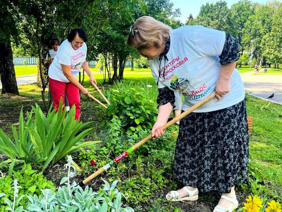 Фото: Министерство социального развития Московской области