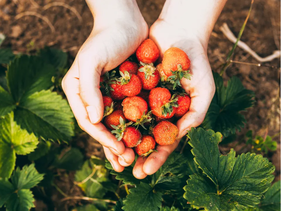 Фото: freepik.com