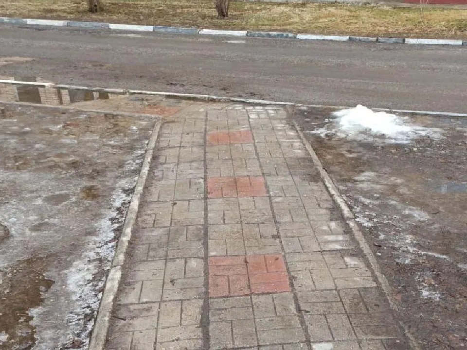 Фото: администрация Одинцовского городского округа