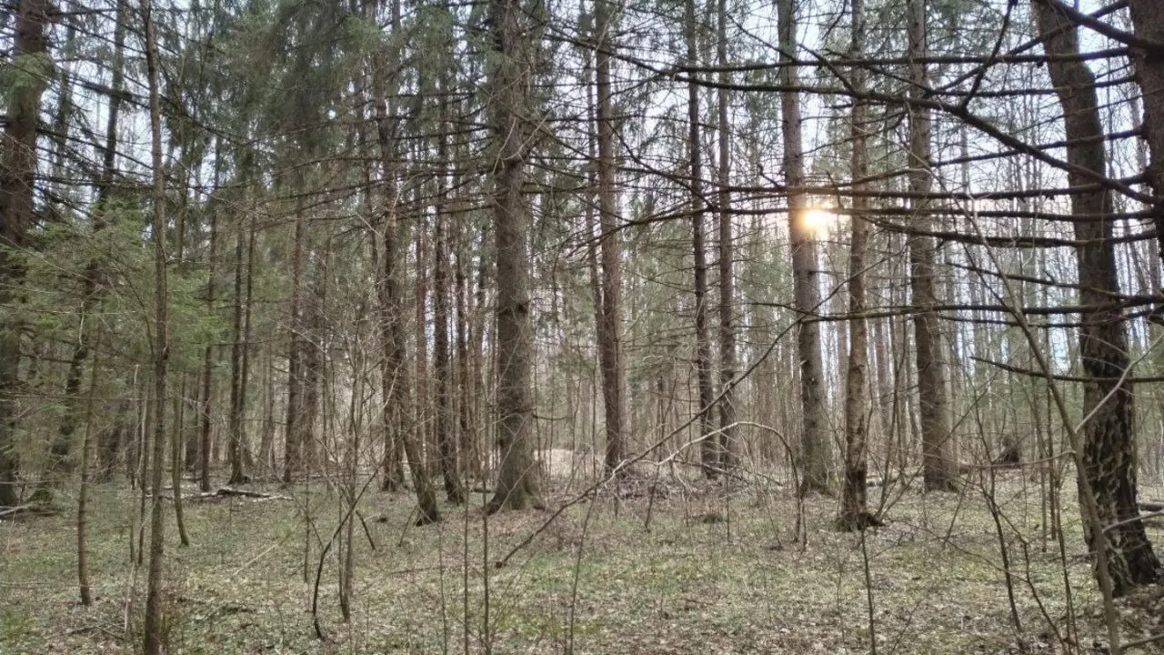 Фото: предоставлено Алексеем Андреевым