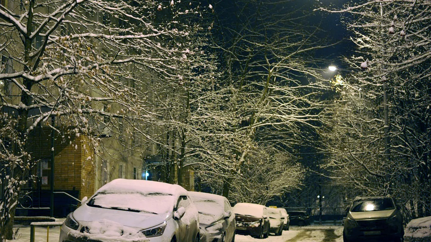 Фото: медиасток.рф