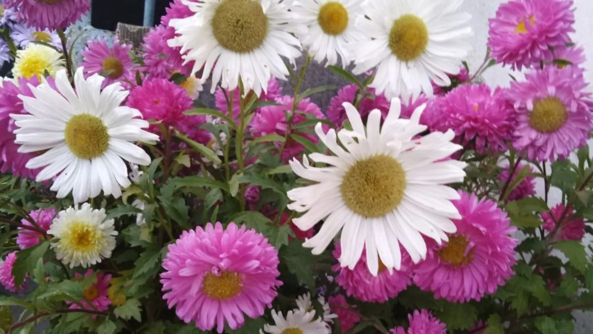 Фото: МедиаБанк Подмосковья/Наталья Фомина