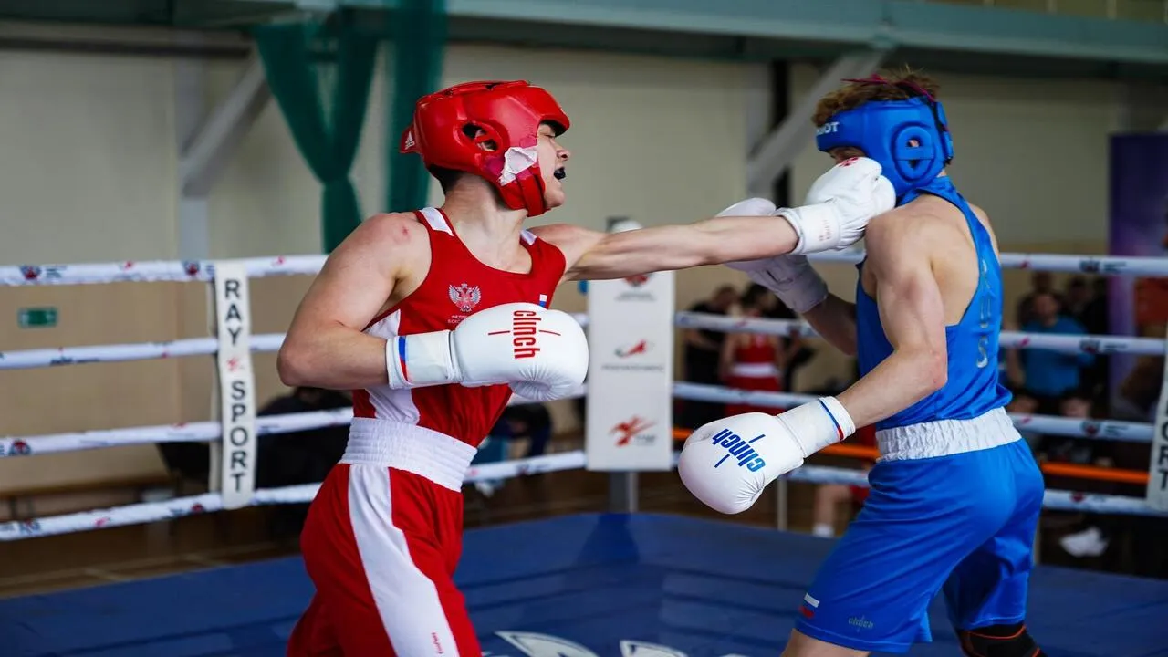 Фото: СШОР по боксу Московской области