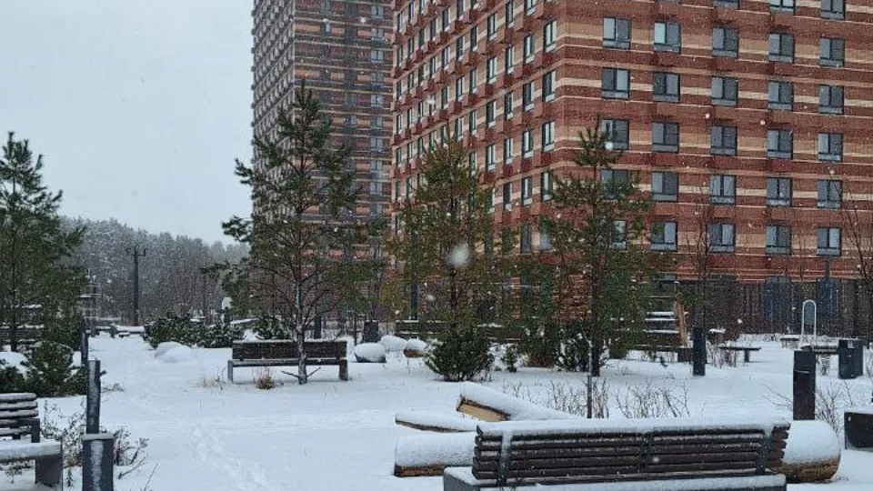 Автор: REGIONS/Катерина Антохина