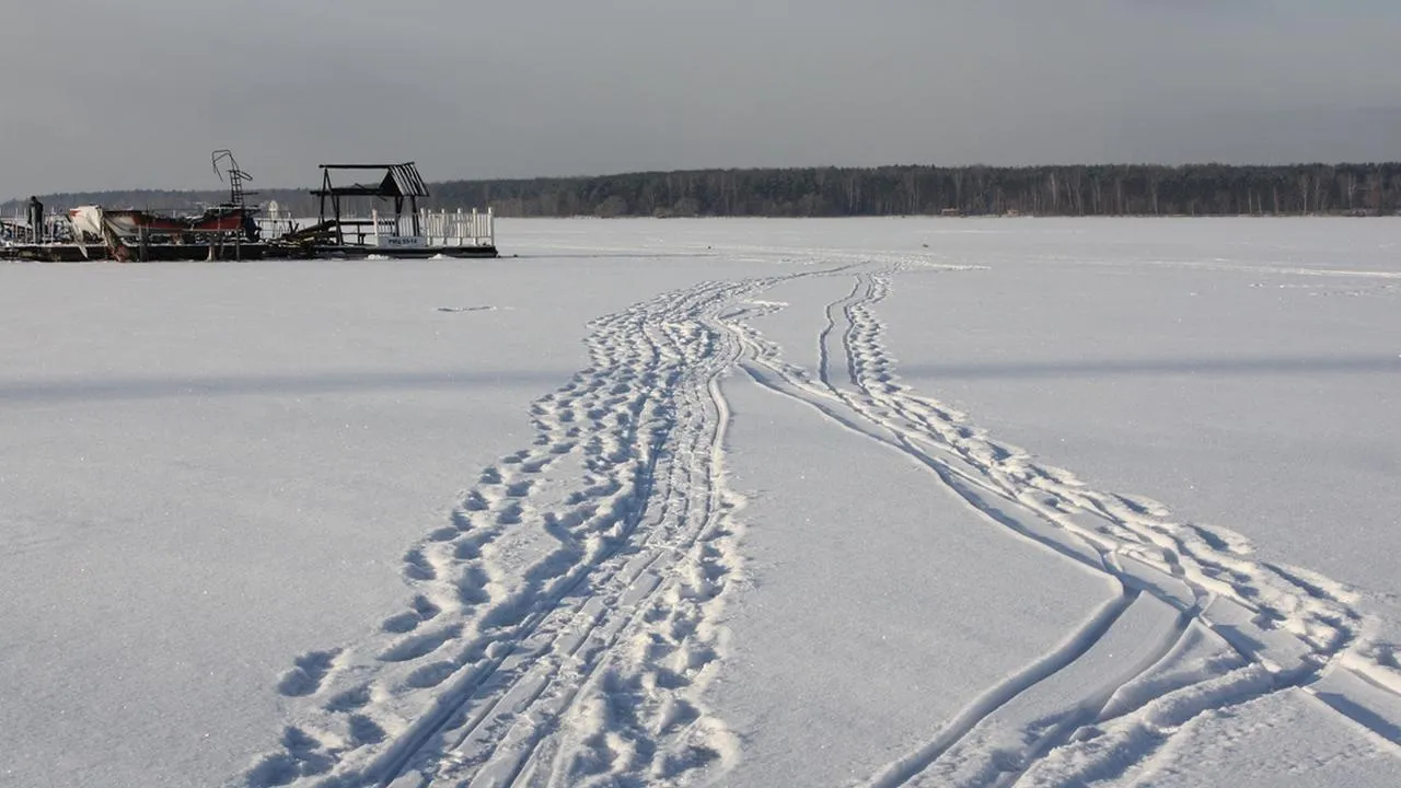 REGIONS/Юлия Алабина