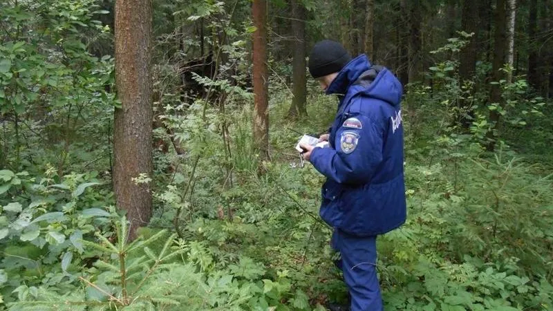 Полсотни человек вывели из подмосковных лесов с начала года