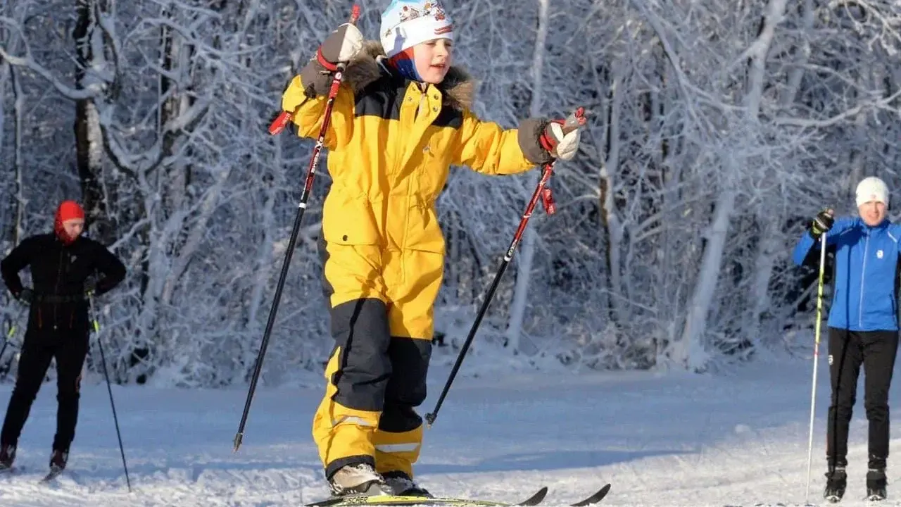 Фото: Министерство благоустройства Московской области