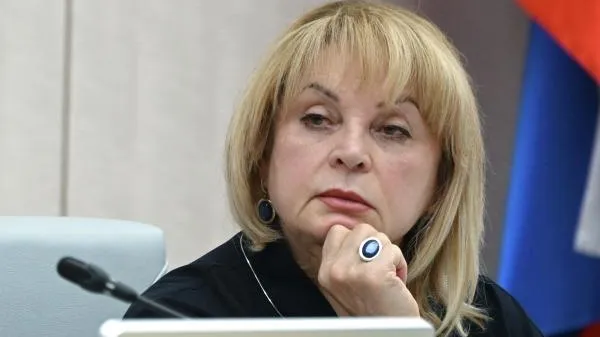 Памфилова: дистанционное электронное голосование на выборах президента проведут почти в тридцати регионах России
