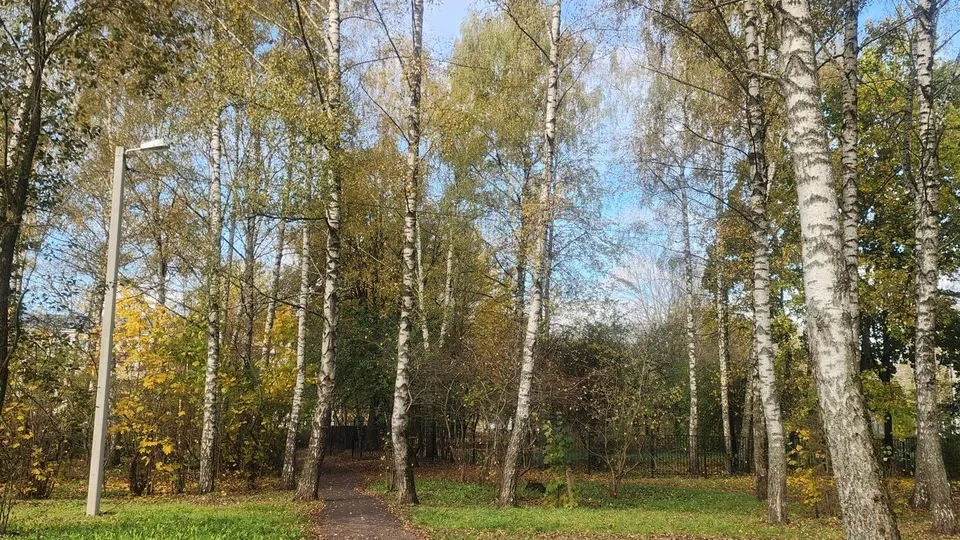 Фото: РИА Новости/Хавива Фонина