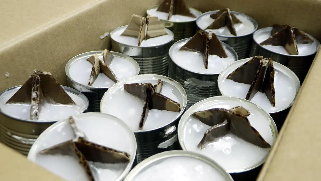 МедиаБанк Подмосковья/Татьяна Кострикина