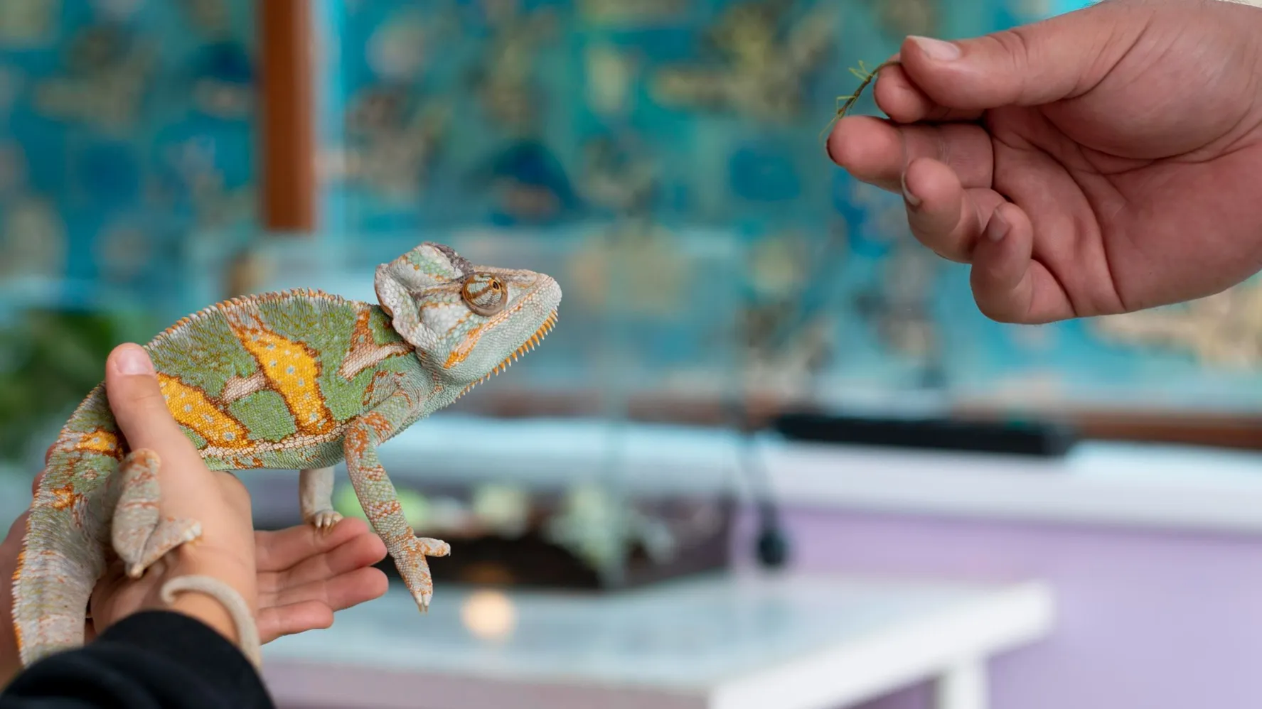 Фото: freepik.com