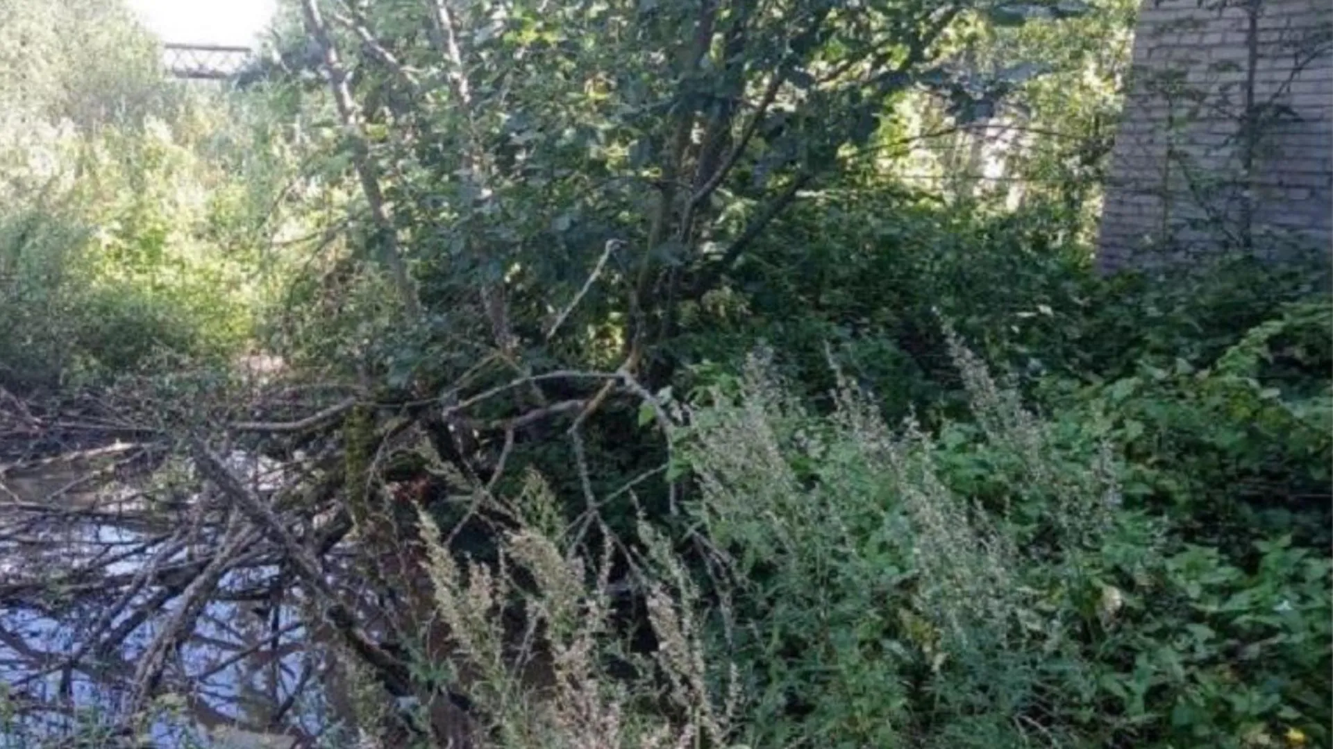 Минэкологии Подмосковья требует прекратить загрязнение сточными водами в Богородском округе
