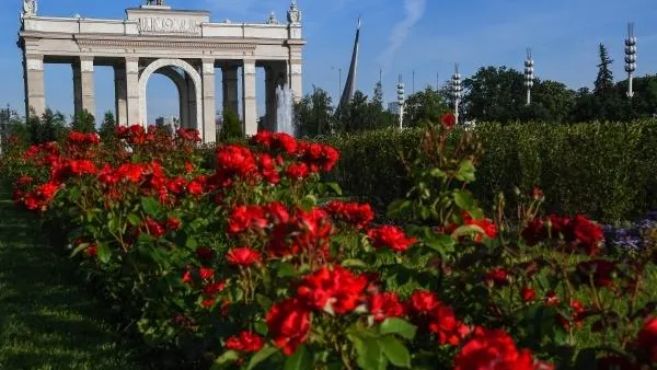 Более 40 тысяч растений украсили цветники ландшафтного парка ВДНХ