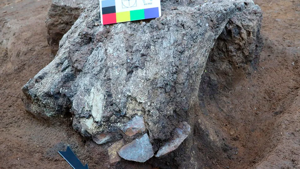 Фото: Коломенско-Зарайский государственный музей-заповедник