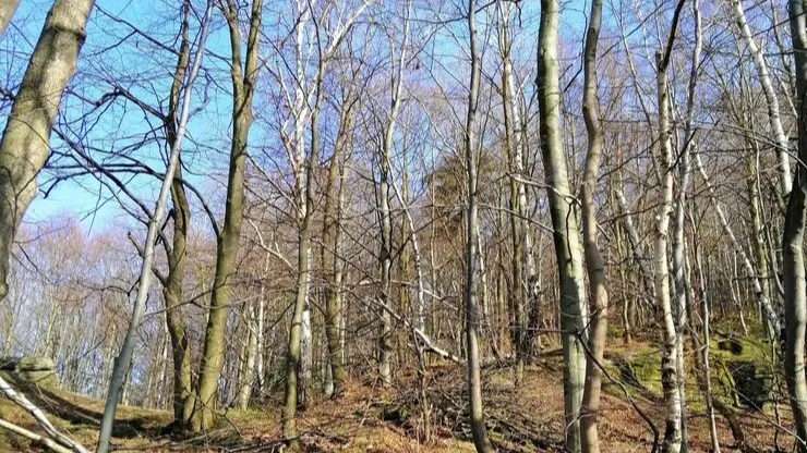 Фото: freepik.com