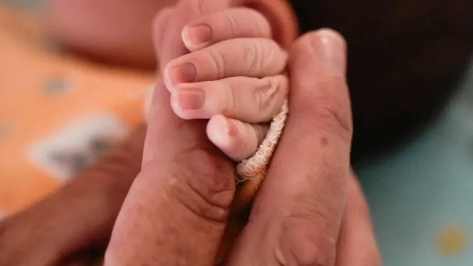 Фото: Министерство здравоохранения Московской области