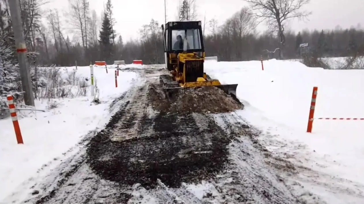 Подъезд к месту вырубки главной новогодней елки страны подготовили в Московской области