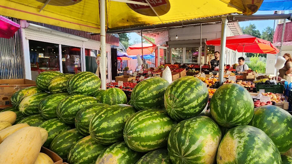 Фото: МедиаБанк Подмосковья/Анна Мороз