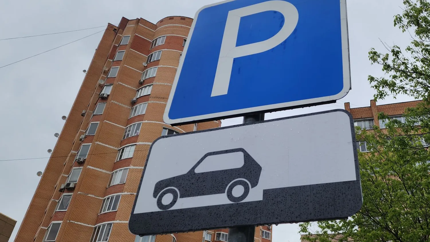 Фото: МедиаБанк Подмосковья/Артем Мишуков