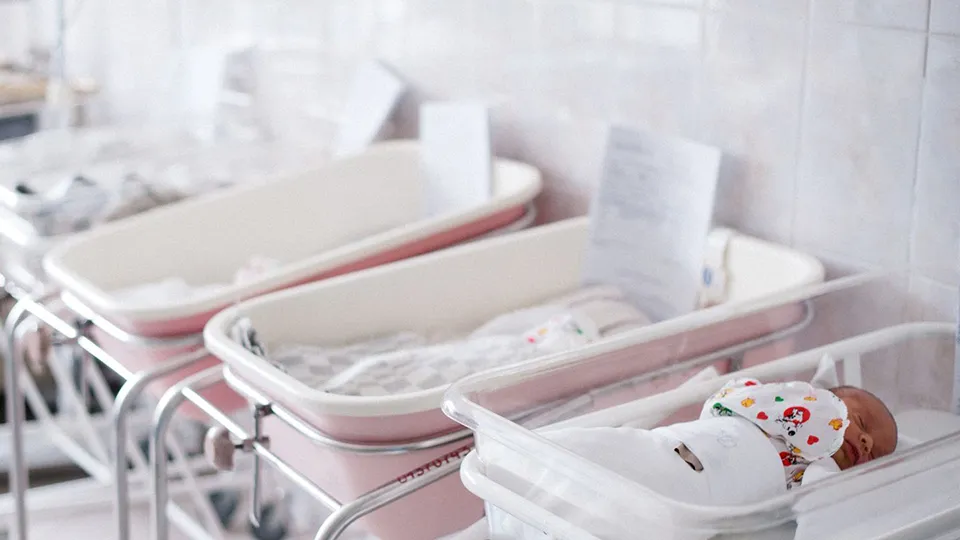 Фото: медиасток.рф