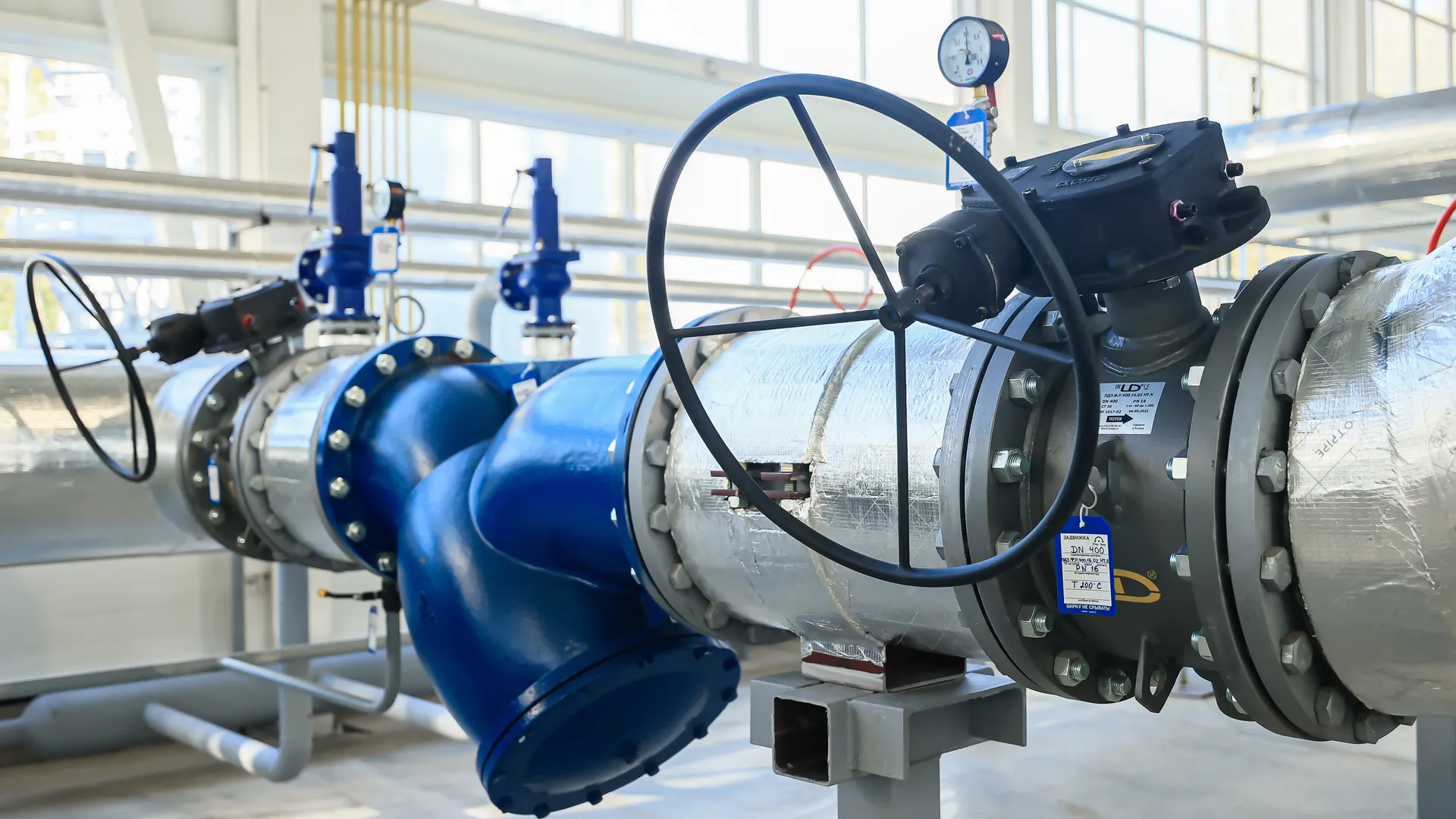 Фото: пресс-служба губернатора Московской области