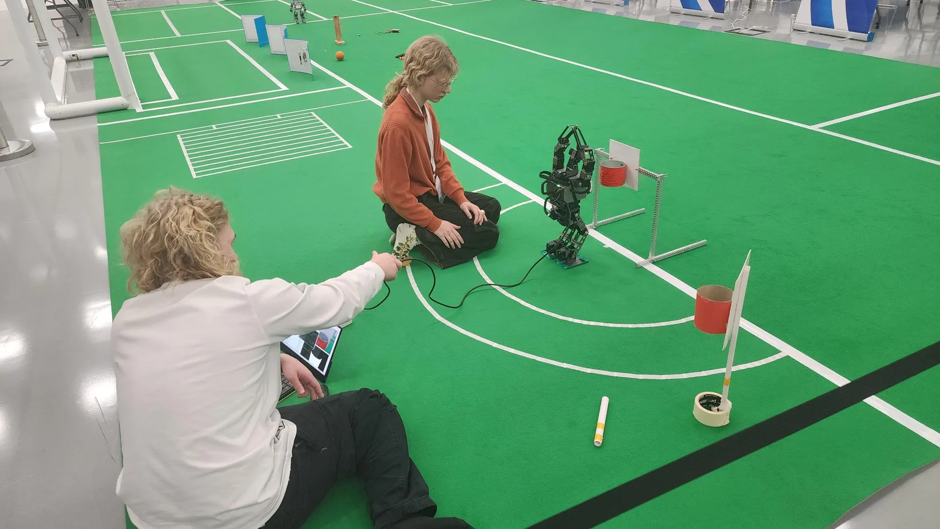 Михаил Раскин