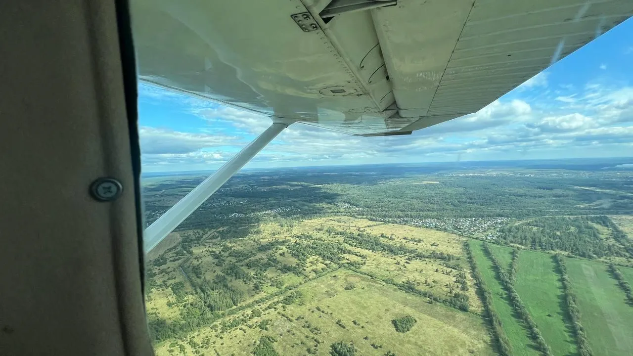 В Подмосковье рассказали о лесопожарной обстановке