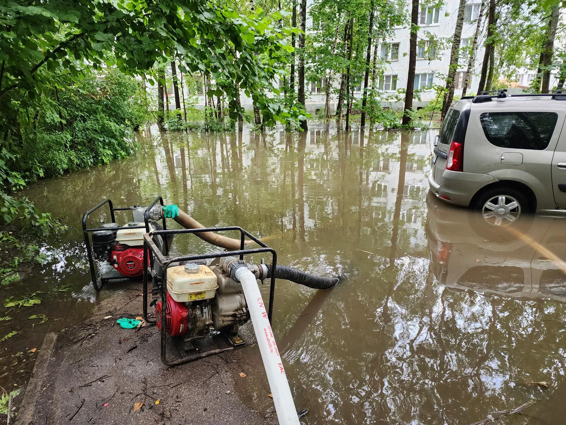 Фото: Евгения Герасимова&nbsp;
