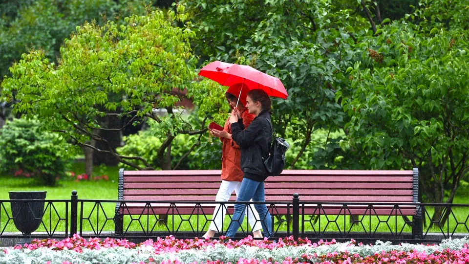 Фото: медиасток.рф