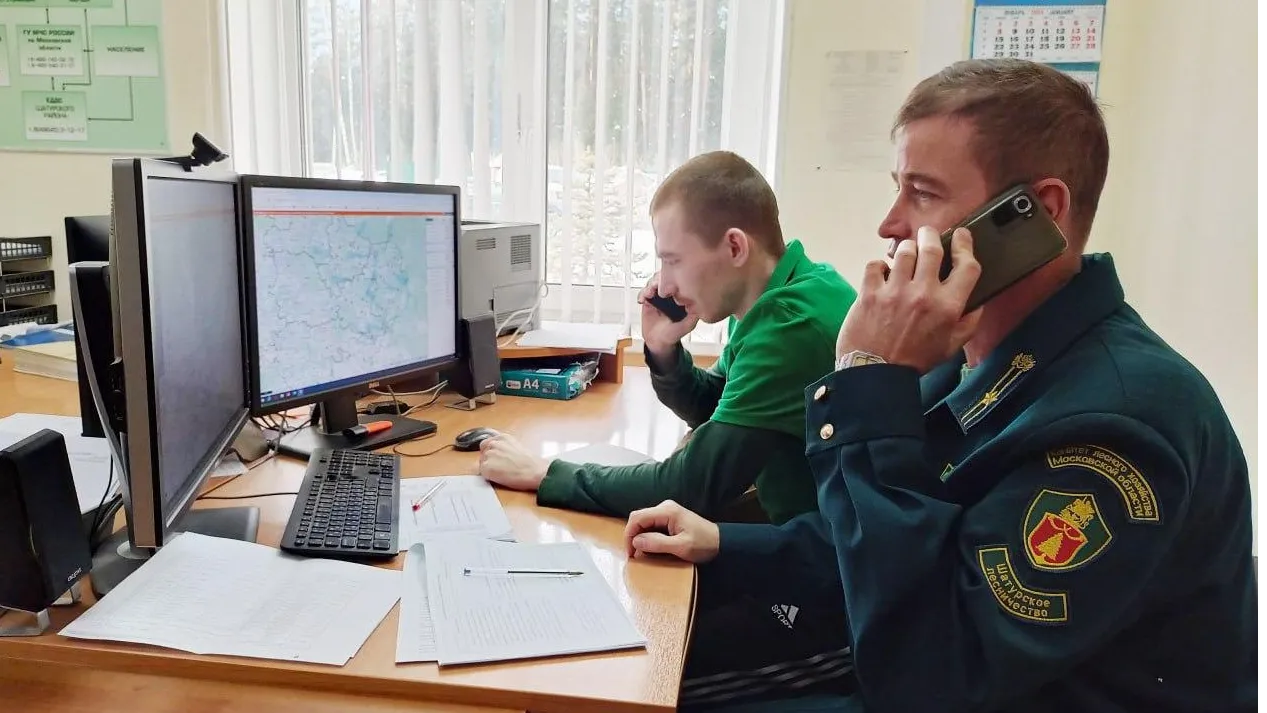 Фото: пресс-служба Комитета лесного хозяйства МО