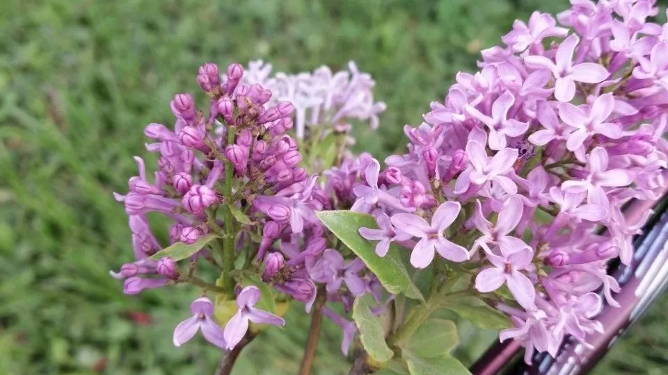 Фото соцсети.