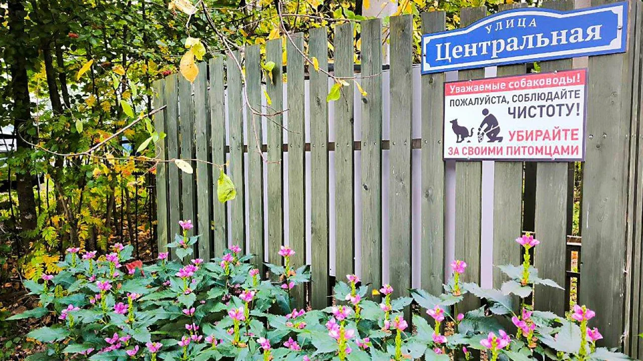 REGIONS/Роман Малышенко