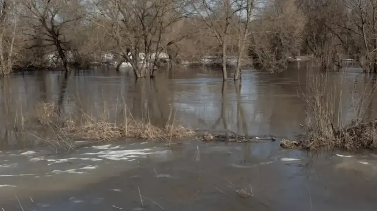 Центр гражданской защиты г.о. Щелково