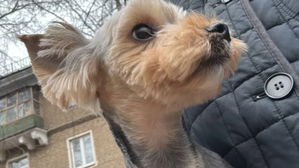 Фото: Ольга Грачева