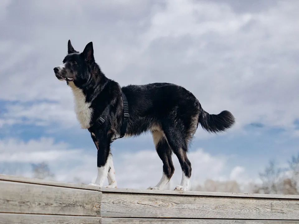 Фото: личный архив Елены Стрекаловой