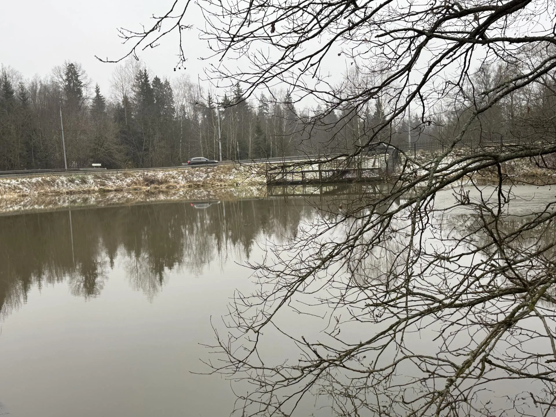 Фото: Татьяна Сташенко