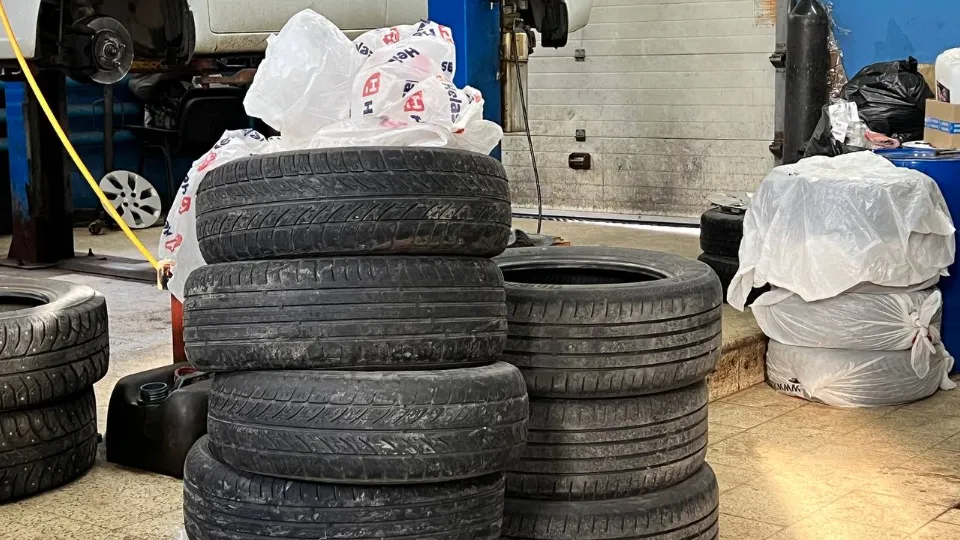 Фото: REGIONS/Елена Фурман