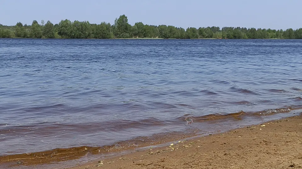 Фото: МедиаБанк Подмосковья/Полина Пахомова