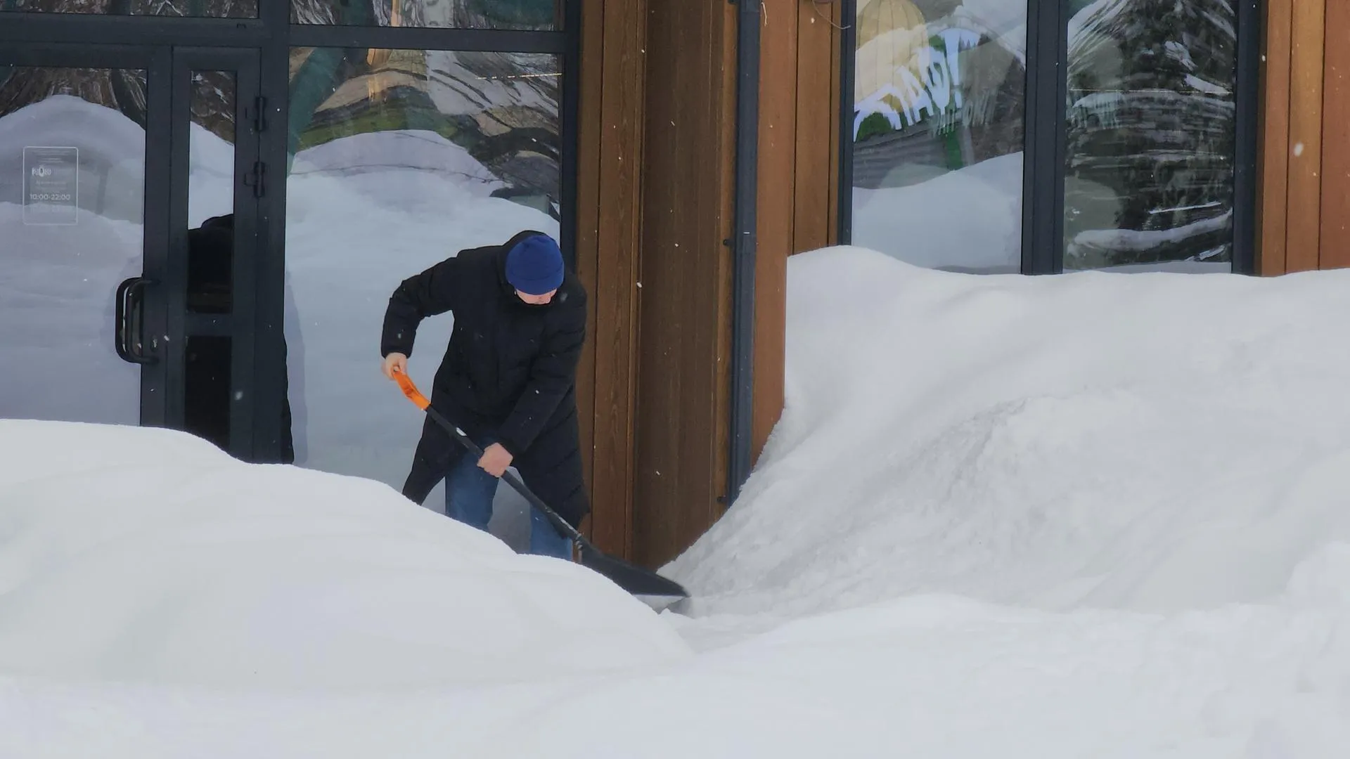 МедиаБанк Подмосковья/Екатерина Федосеева