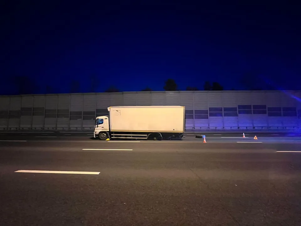 Фото: управление МВД РФ по Московской области