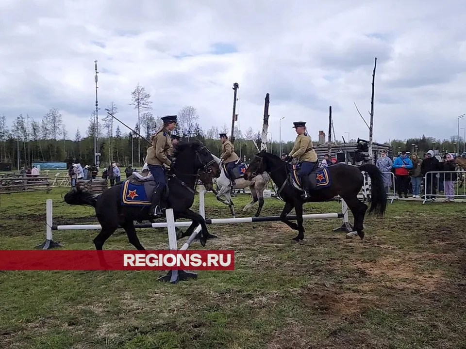 Фото: Никита Сморкалов