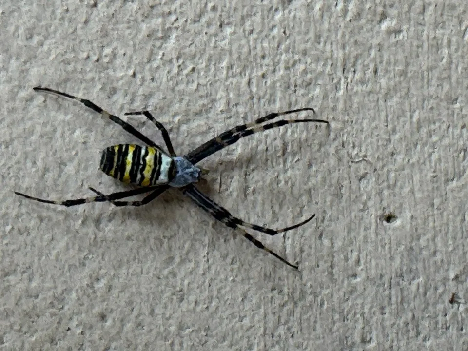 Фото: Владимир Ерастов