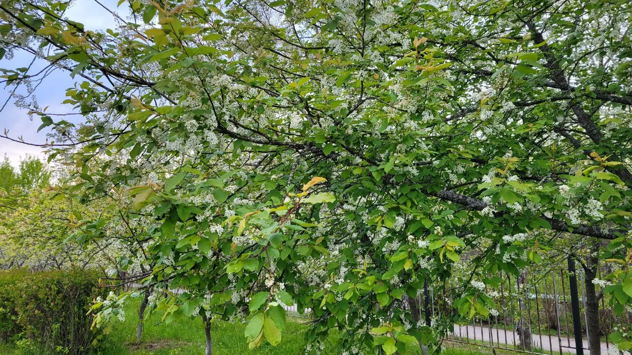 Фото: Юлия Григорьева